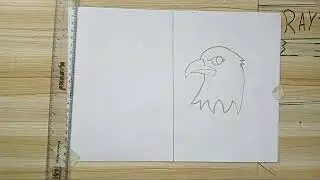 easy to draw bald eagle .vs . pretty unicorn