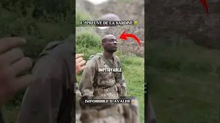 😱 L&rsquo;&eacute;preuve impitoyable de la sardine..