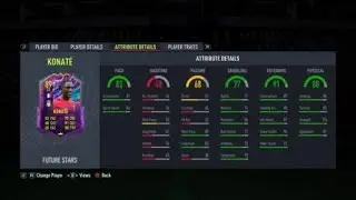 Future Stars Team 1 Player Picks