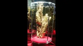 An Amazing Find at the Golden Nugget Hotel & Casino in Laughlin,  Nevada (April 2021)