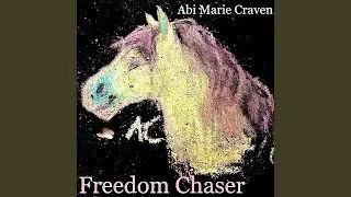 Freedom Chaser