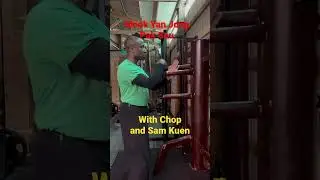 Wing Chun Mook Yan Jong practical application