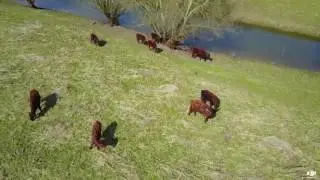 Betuwe, Gelderland met een Drone