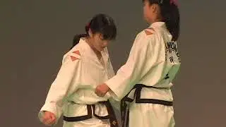 TKD ITF in Seoul part I (NK Demo Team)