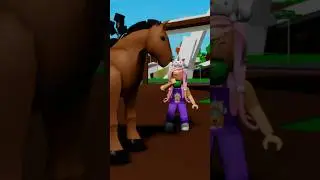 How To Take Care Of Your Horse In Brookhaven
