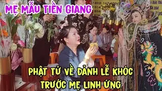 Mẹ Mẫu Tiền Giang: Quá Linh Thiêng Phật Tử Về Trả Lễ Khóc Trước Mẹ Linh Ứng