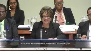 JSC Finance & Legal Affairs Committee - January 17, 2025 - Public Procurement System