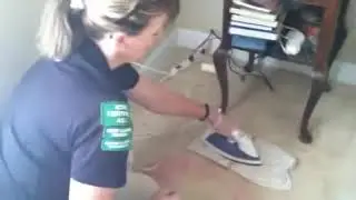 Kool-Aid Removal From Carpet!