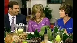 12/2/13 - Dr Webster of Tampa Veterinary Hospital gives Pet Safety Tips During Thanksgiving