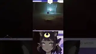 You wont believe this one STRAY glitch