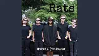 Rats