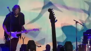 John Cale performs 
