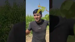 #agro #invest 998957171312