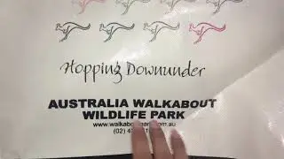 ASMR Tapping in Australia 🇦🇺