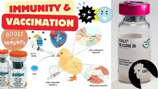 Poultry Immunity and Vaccination Training Lecture Part 1