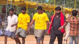 నరసరావుపేట నాలుగు పళ్ళు 13జత అలా రాజేష్ యాదవ్ గారు..కంబైన్డ్.. గంగసాని వివేకానంద రెడ్డి గారు