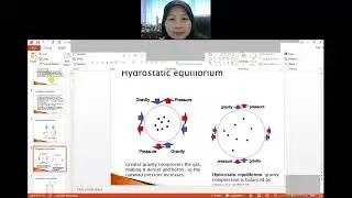 PHY575   CHAPTER 4  STELLAR STRUCTURE