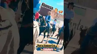 Vaqueros, Rancheros y Ganaderos 🐎 #caballos #rancho #mexico #sonora