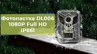 Фотопастка DL006. Камера для дикої природи 1080P Full HD IP66