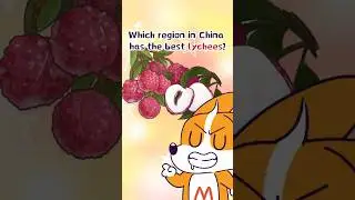 👀Which region in China has the best lychees? #funknowledge #funny #memes #animation #china #lychees