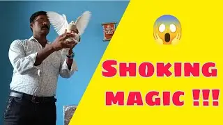 Shocking magic!!! 😱😱 l Multi Art Gallery