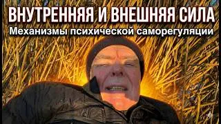 &laquo;Внутренняя и внешняя сила: механизмы психической саморегуляции&raquo;