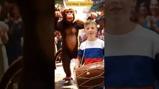 Beats of Russia, Moves of the Monkey &ndash; A Street Show Like No Other!&rdquo;#viralvideo#shorts #monkey