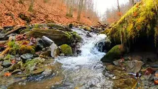Relaxing Running Creek Sounds