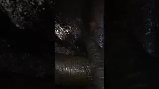 Oil Field Pit cleaning