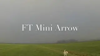 Flite Test FT mini Arrow with crash