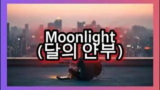 [Moonlight Safety] (달의 안부)