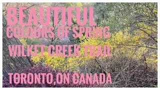 Spring Nature | Wilcket Creek Trail | TBG | Hiking | Relive