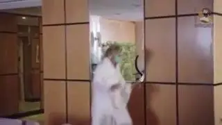Аниме мем #6 / Anime meme #6