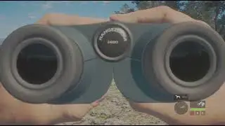Call of the wild super rare
