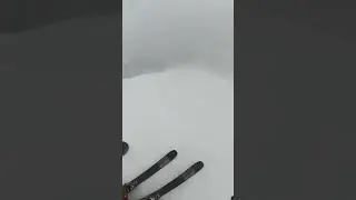 Skiing in this is NOT fun ⛷️ 🏔️ #skiing #snow #whiteout #shorts