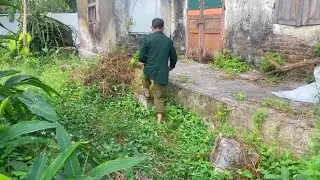 SHOCK: Abandoned House Left for 12 Years Cleaned Up for a 75-Year-Old Man to Celebrate TET Viet Nam.