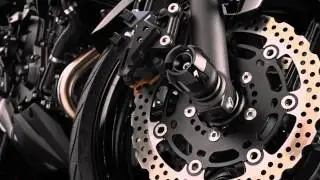 Kawasaki ER-6N Bikers Black Edition Accessories