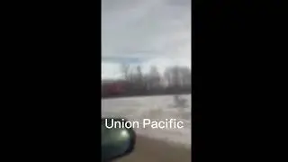 Footage from the Leduc sub Dec 8, 2023.