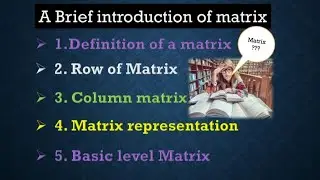 Basic matrix || Row and column||  definition || hindi || type of matrix || Ssangram Economics Future