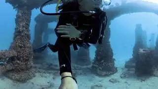 360&deg; View | Man-made Atlantis: Neptune Memorial Reef Swim Through (Miami, Fl) | HD, 4K