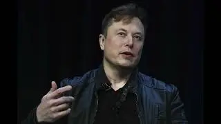 Elon Musk's $1B Tesla Stock Buy 2025: Surge & Trump Drama! | AP News Scoop