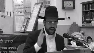 דוד המלך ודניאל לא חזרו בגלגול - נתנו את כל הכוח בעבודת ה' - הרב מאיר אליהו שליט