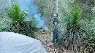 Solo wild camping in Australian bush | Blue Mountains