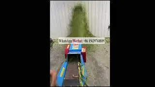 High Efficient Grass Chaff Cutter /Rice Straw Cutter/ Corn Fodder cutting machine