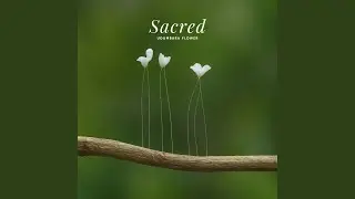 Bloom of the Invisible