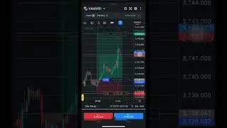 Luna Bala #exnessforex #forex