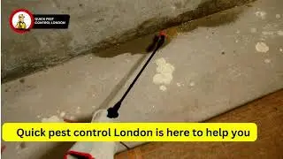 Pest Control Services in London | Quick Pest Control London