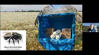 IPM Hour   Episode 20   March 9 2022