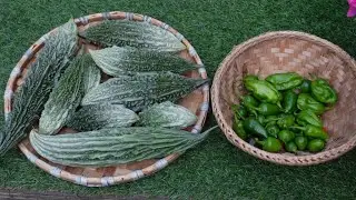 September Harvest / Bitter Gourd / Akabare & Naga Chilli / Nepali Garden UK (03/09/22) Part - 2