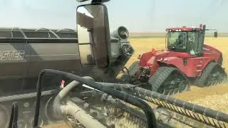 Unloading on the go with little sister behind the wheel